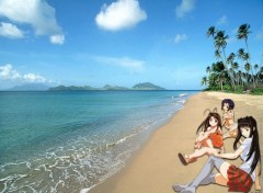 Fonds d'cran Manga Wallpaper Love Hina