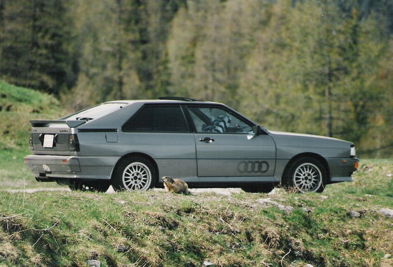 Fonds d'cran Voitures Audi 