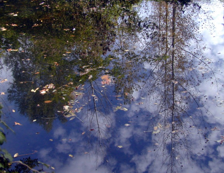 Wallpapers Nature Water - Reflection Reflets