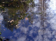 Wallpapers Nature Reflets