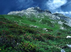 Fonds d'cran Nature La Vanoise