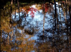 Fonds d'cran Nature Reflets 2