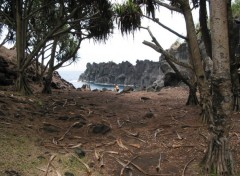 Fonds d'cran Voyages : Afrique Cap mchant