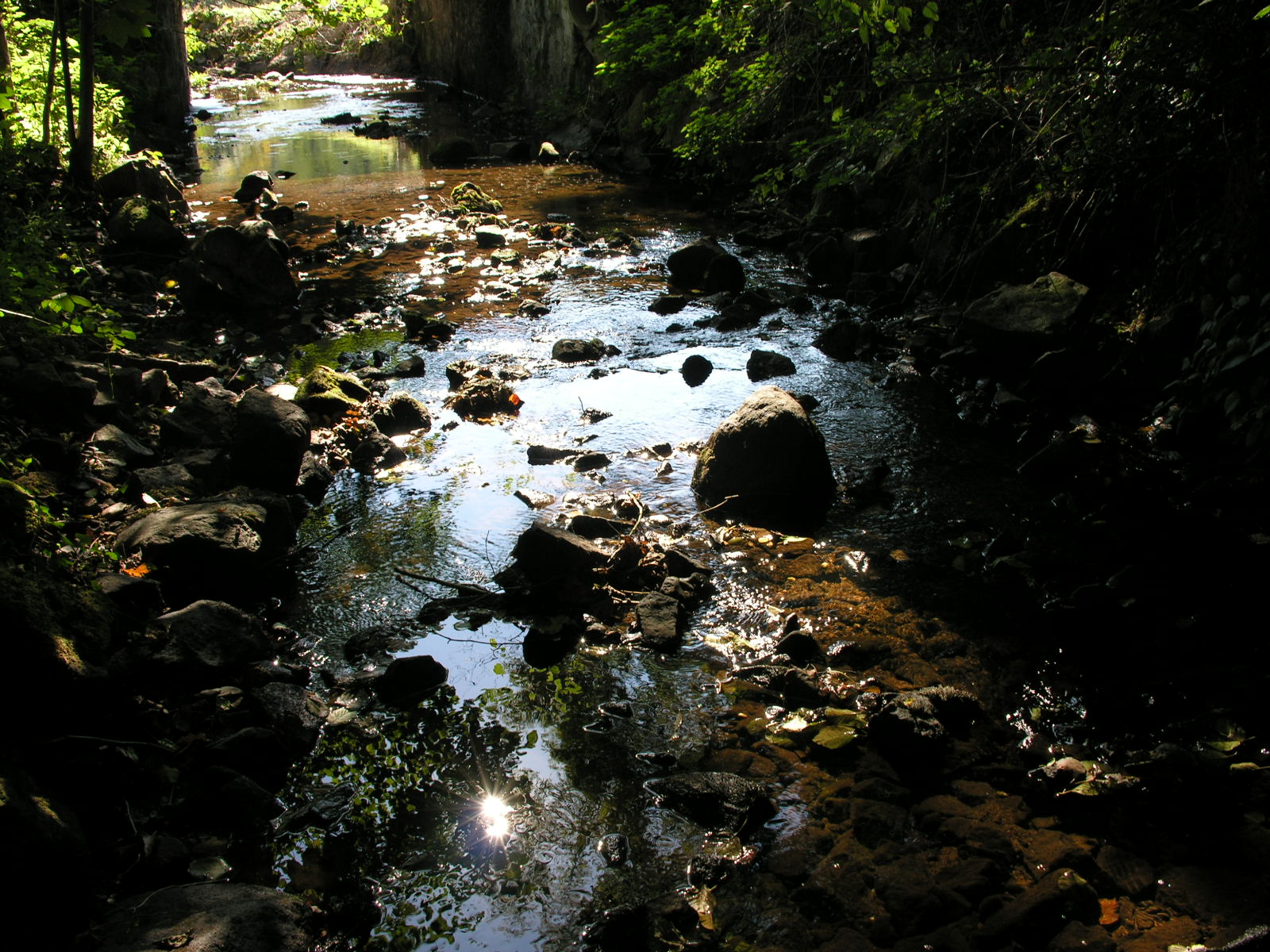 Fonds d'cran Nature Fleuves - Rivires - Torrents 