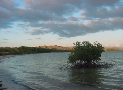 Wallpapers Trips : Oceania la plage au Malabou Beach