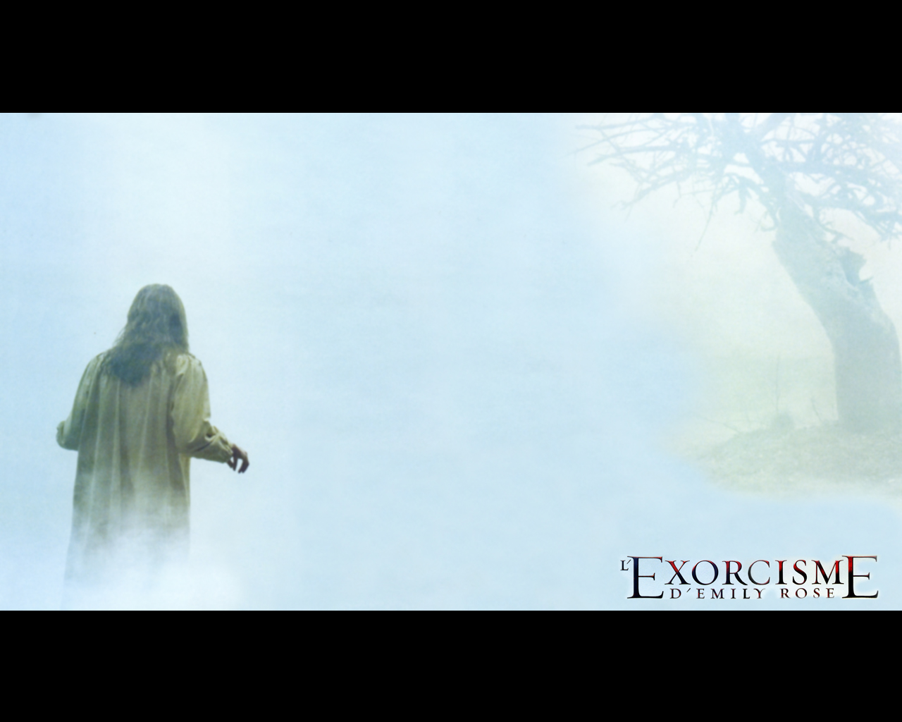 Wallpapers Movies The Exorcism of Emily Rose affiche