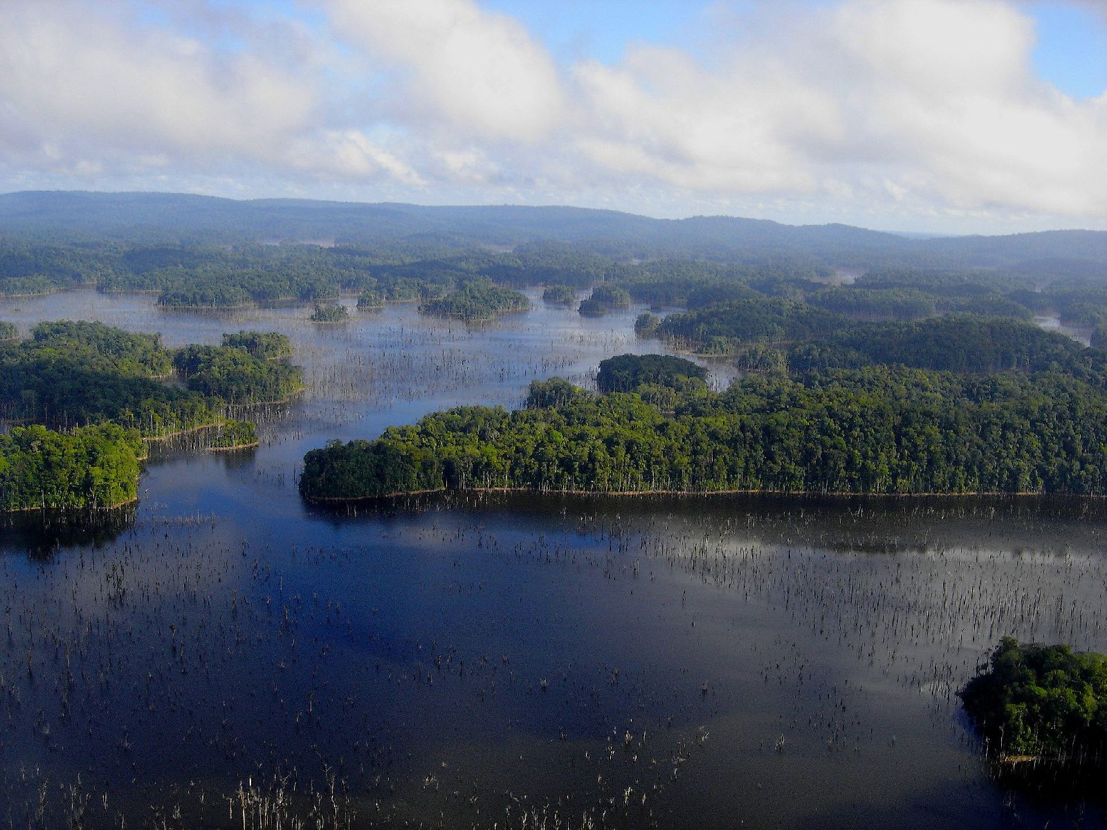 Wallpapers Nature Landscapes survol de la fort amazonienne