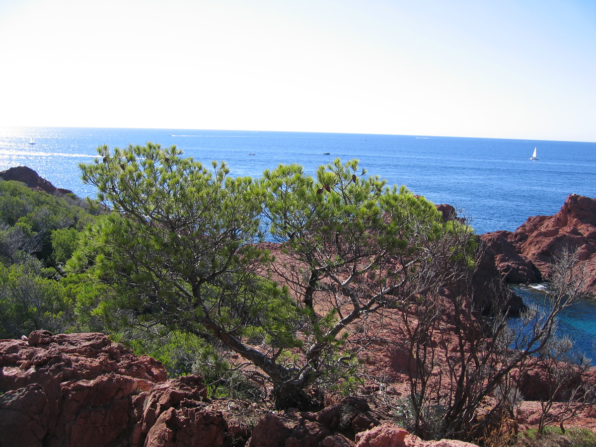 Fonds d'cran Voyages : Europe France > Provence-Alpes-Cte d'Azur Cap Dramont - Cte Varoise