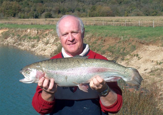 Fonds d'cran Animaux Vie marine - Poissons 