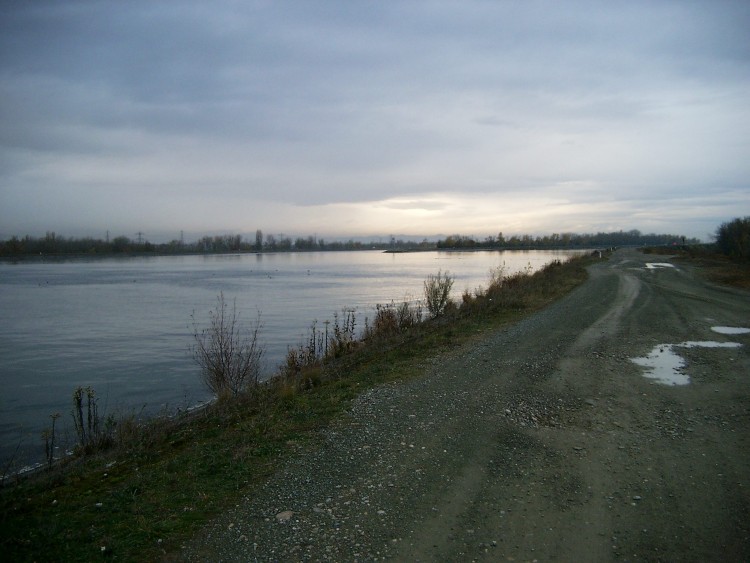 Wallpapers Nature Rivers - Torrents Canal du Rhin