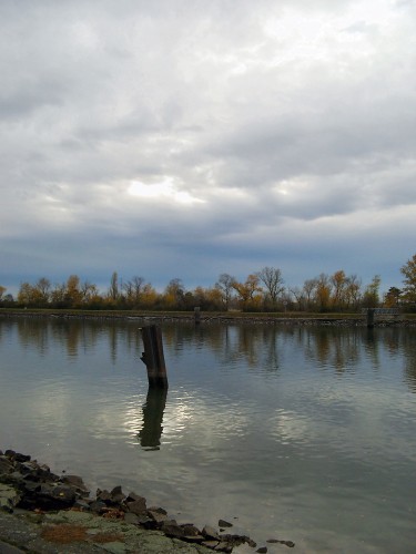 Fonds d'cran Nature Fleuves - Rivires - Torrents Canal du Rhin 2