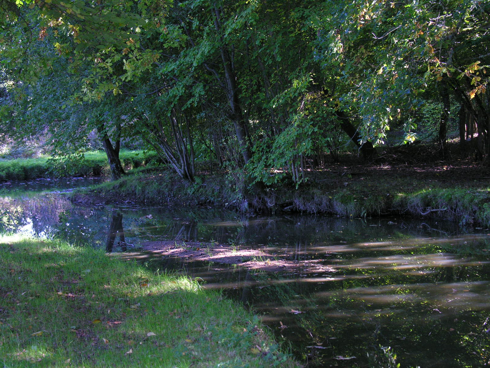 Fonds d'cran Nature Fleuves - Rivires - Torrents 