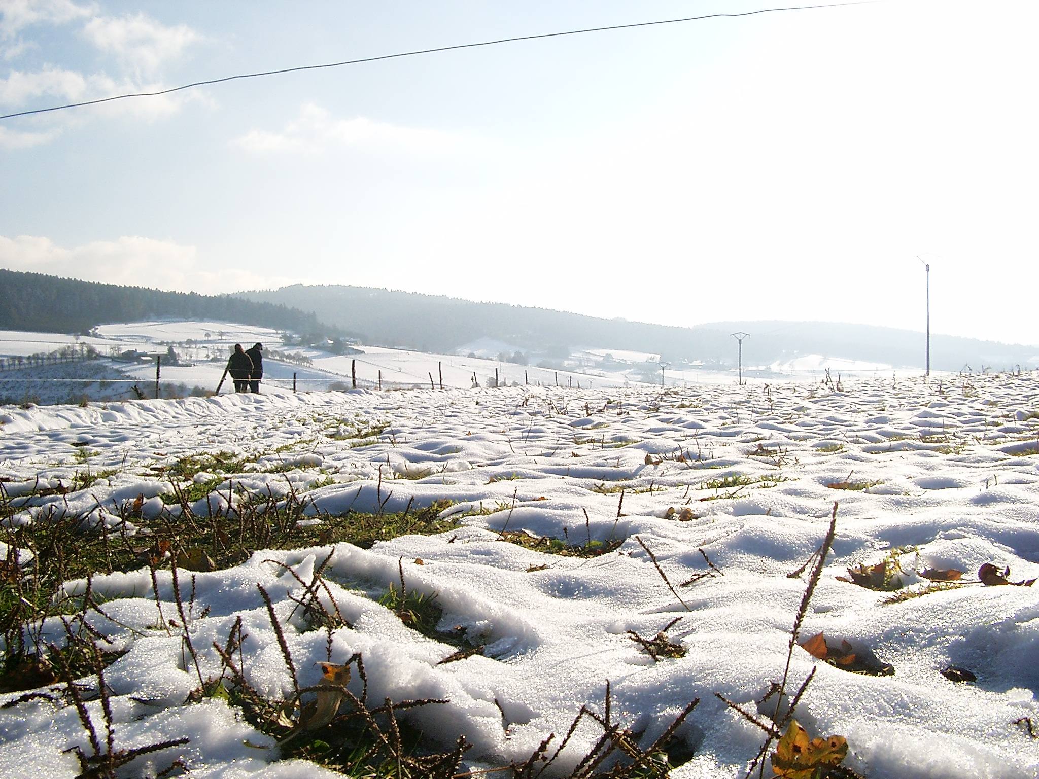 Fonds d'cran Nature Saisons - Hiver Champs enneigs