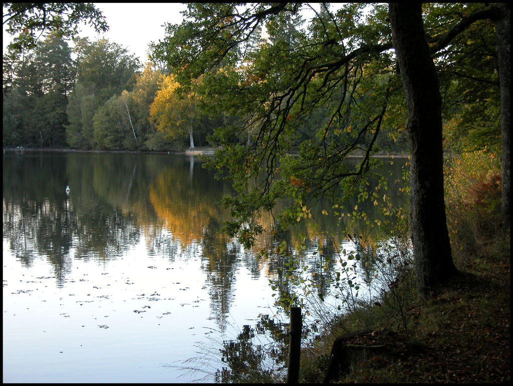 Wallpapers Nature Lakes - Ponds Etang soleil couchant