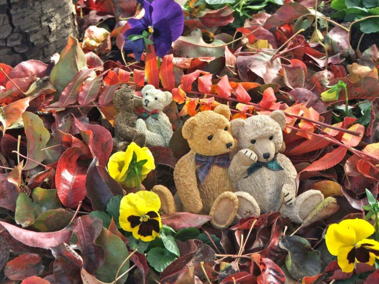 Fonds d'cran Objets Peluches 1er Nov 2005 - Triste anniversaire pour les Ours de France qui ont la larme  l'oeil