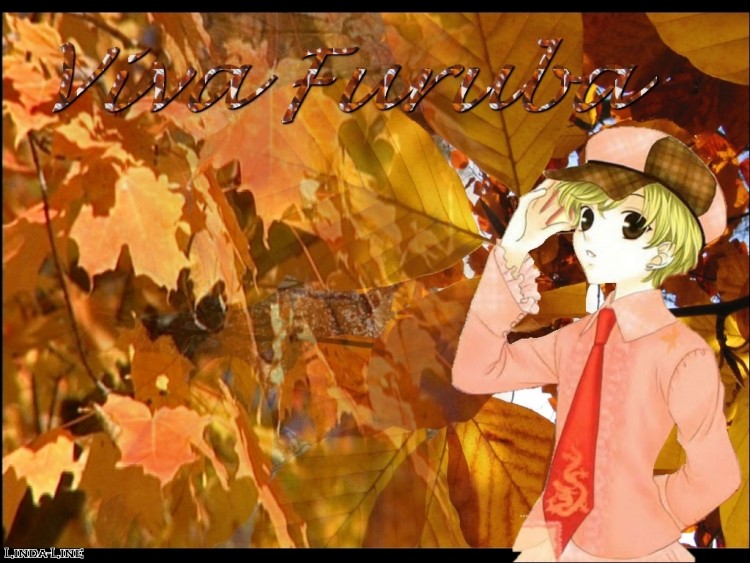 Wallpapers Manga Fruits Basket Teru Momiji