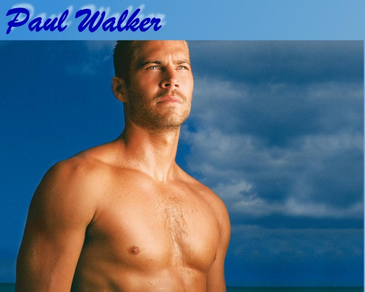 Fonds d'cran Clbrits Homme Paul Walker PAUL WALKER