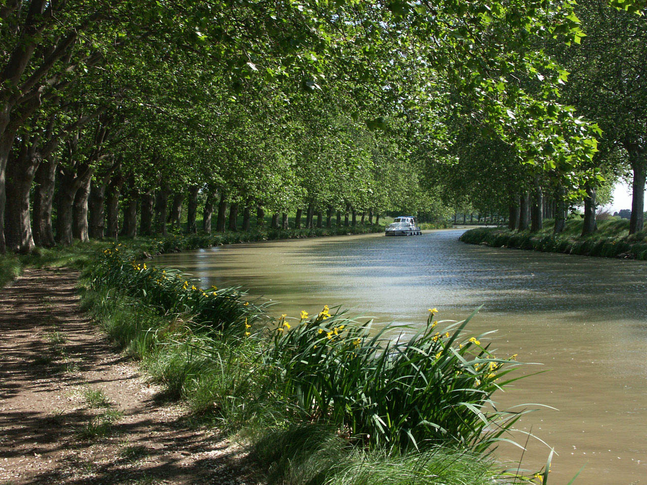 Fonds d'cran Nature Fleuves - Rivires - Torrents Languedoc/Roussillon