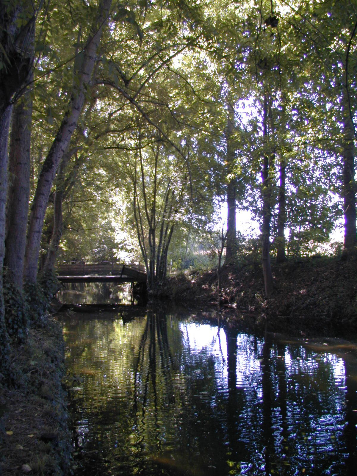 Wallpapers Nature Water - Reflection Reflets