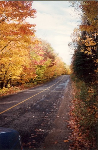 Fonds d'cran Nature Saisons - Automne automne