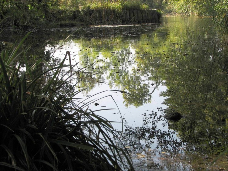 Fonds d'cran Nature Lacs - Etangs reflets