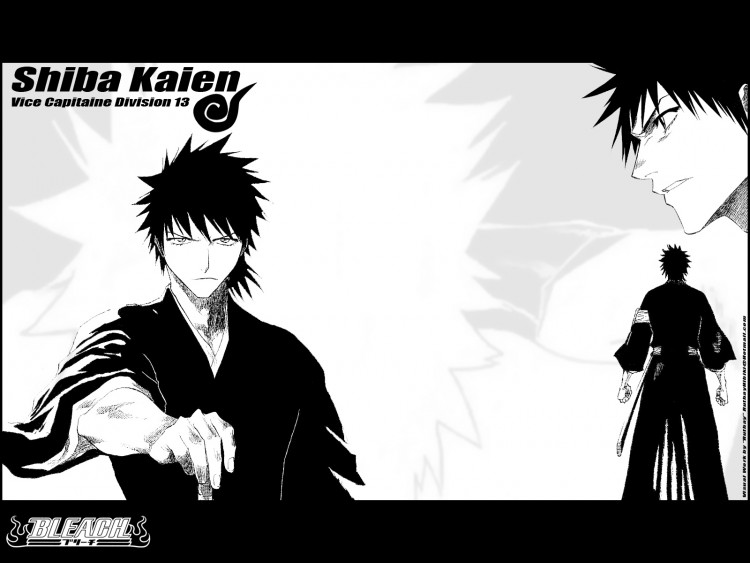 Fonds d'cran Manga Bleach Ruthay Bleach Shiba Kaien 01