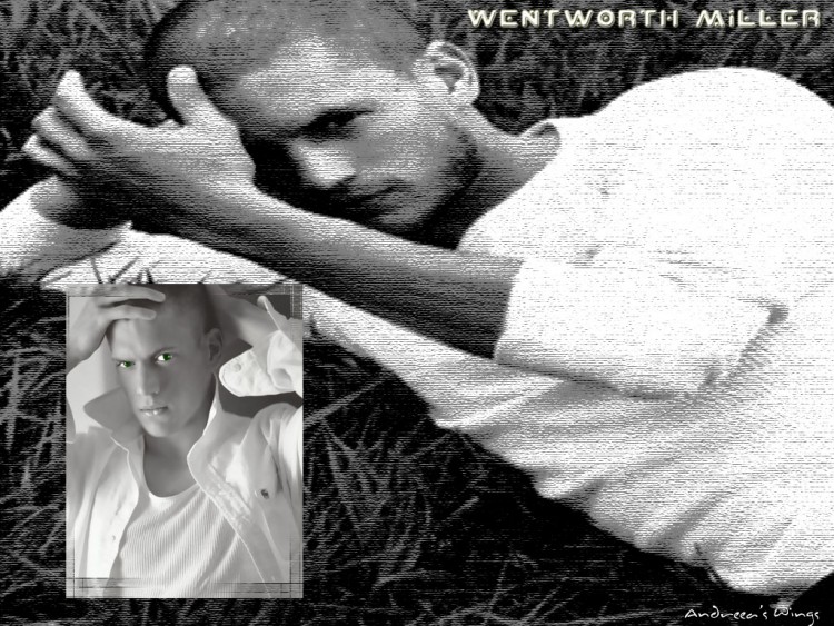 Wallpapers Celebrities Men Wentworth Miller Wentworth Miller