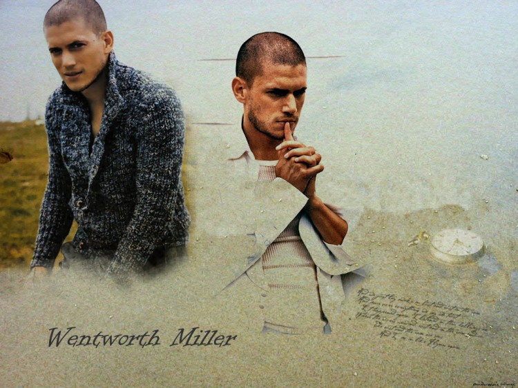 Fonds d'cran Clbrits Homme Wentworth Miller Went