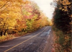 Fonds d'cran Nature automne