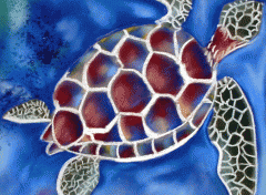 Fonds d'cran Art - Crayon Tortue