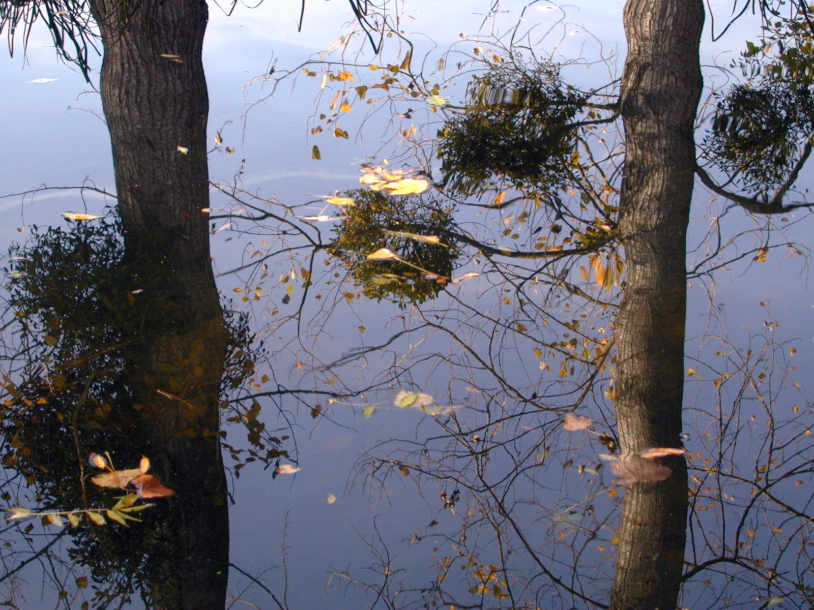 Wallpapers Nature Water - Reflection Reflets