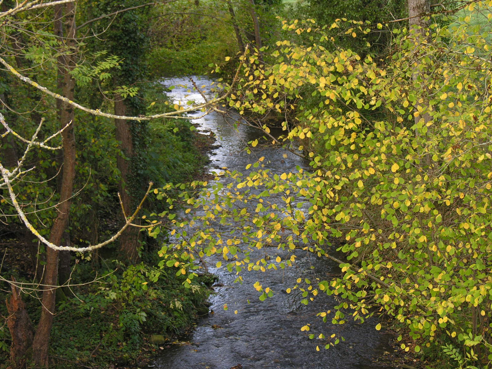 Fonds d'cran Nature Fleuves - Rivires - Torrents Au fil de l'eau