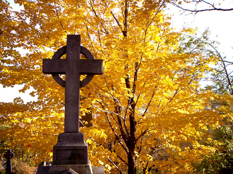 Fonds d'cran Nature Saisons - Automne automne-02