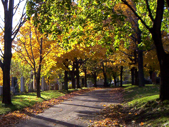 Fonds d'cran Nature Saisons - Automne automne-01