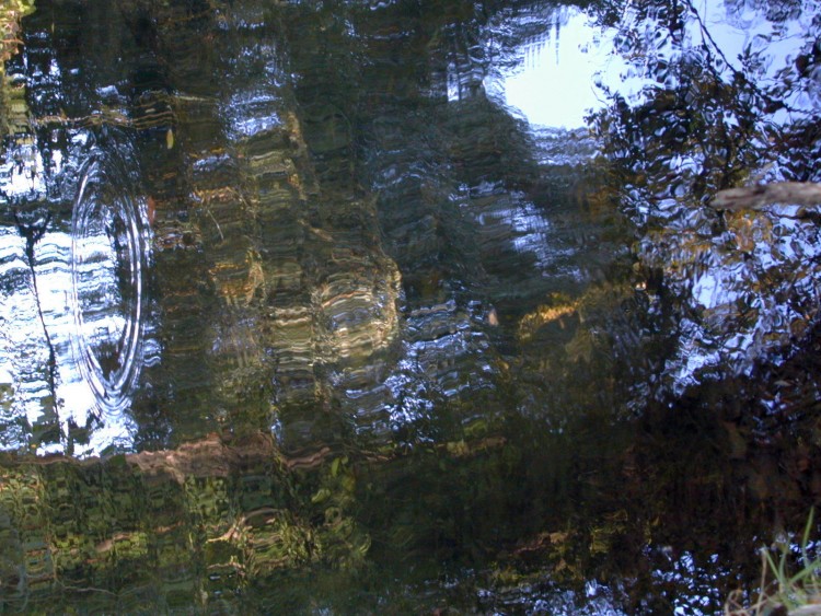 Wallpapers Nature Water - Reflection Reflets