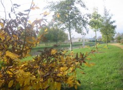 Fonds d'cran Nature Canal de St-Quentin  Sraucourt