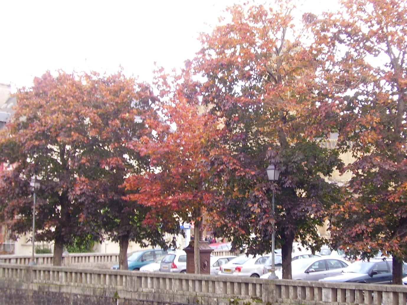 Fonds d'cran Nature Saisons - Automne 