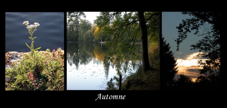 Wallpapers Nature Seasons - Fall Composition-automne