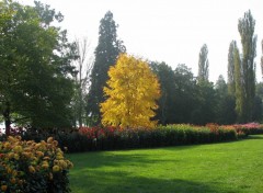 Fonds d'cran Nature Couleur d'automne