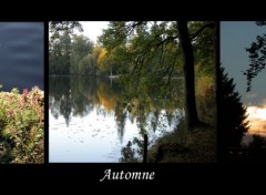 Wallpapers Nature Composition-automne