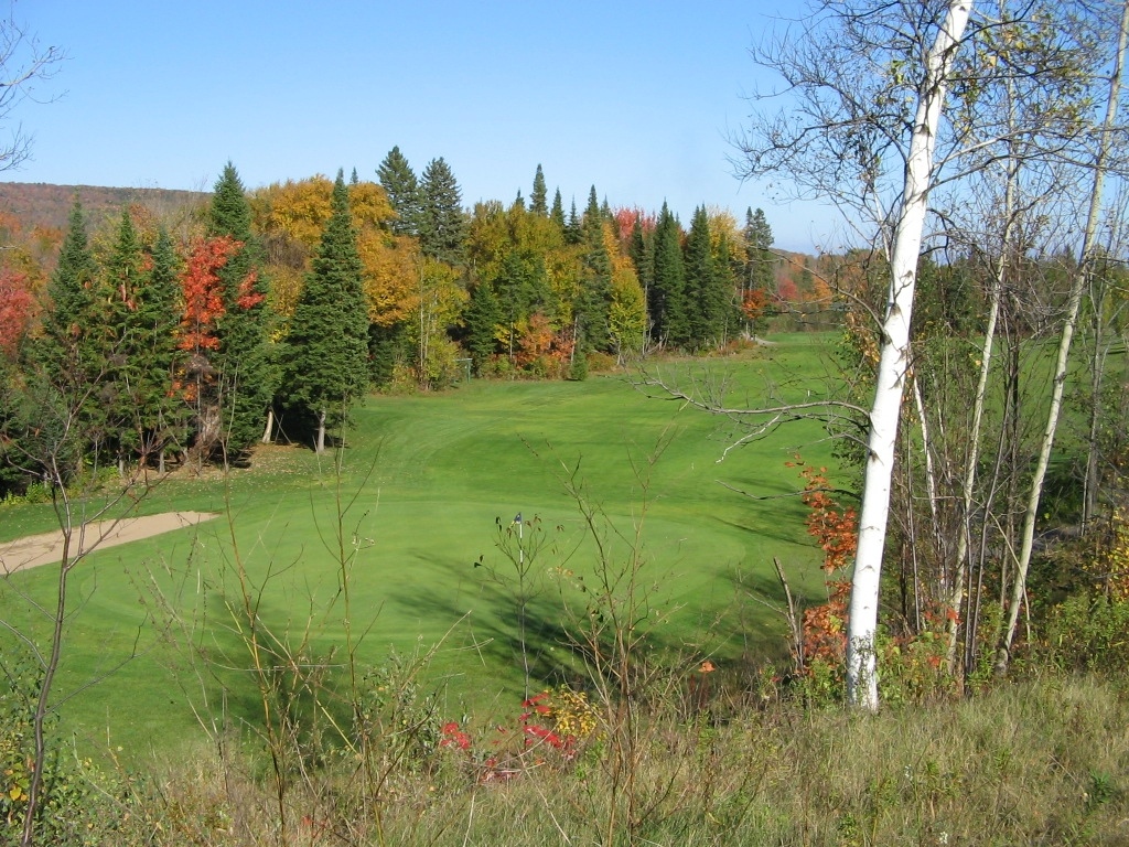 Wallpapers Nature Seasons - Fall Bouleau solitaire