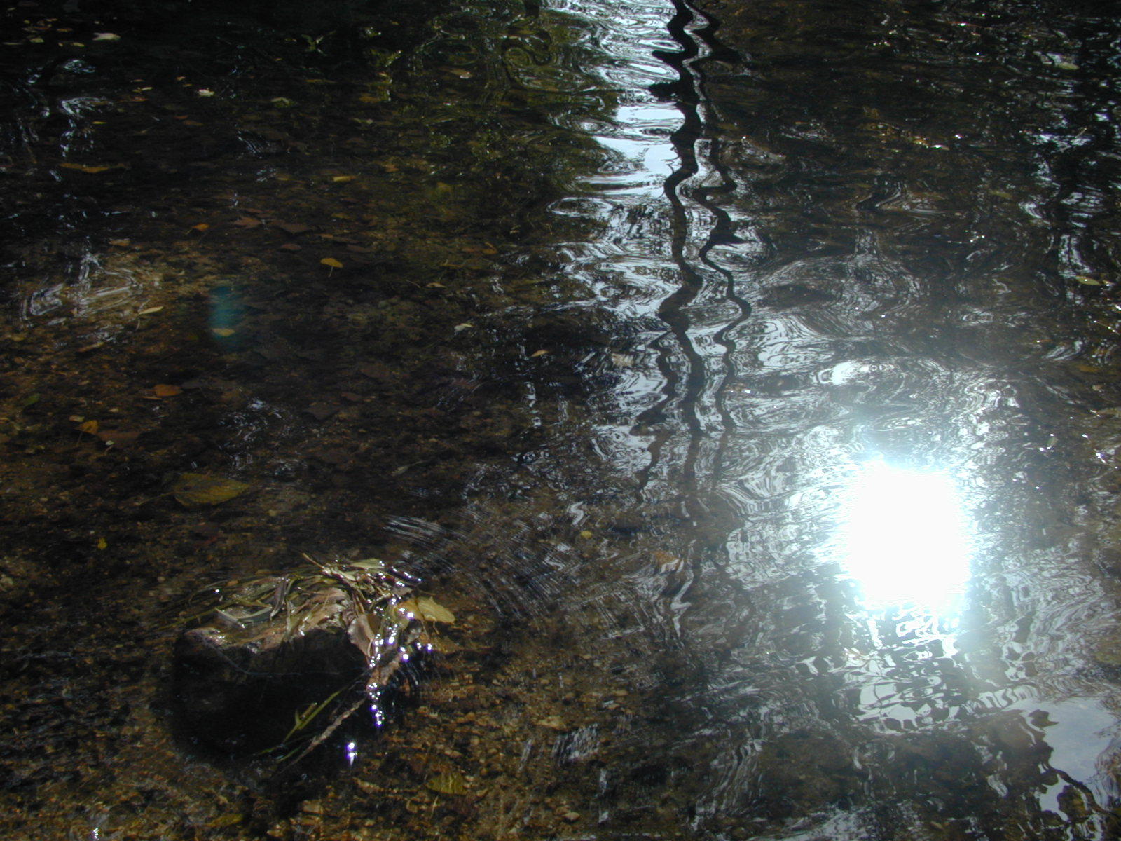 Wallpapers Nature Water - Reflection Reflets