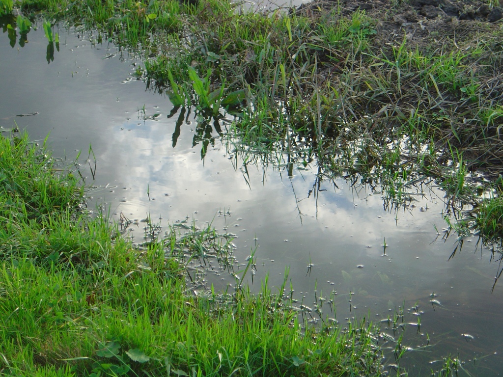 Fonds d'cran Nature Eau - Reflets Reflets.