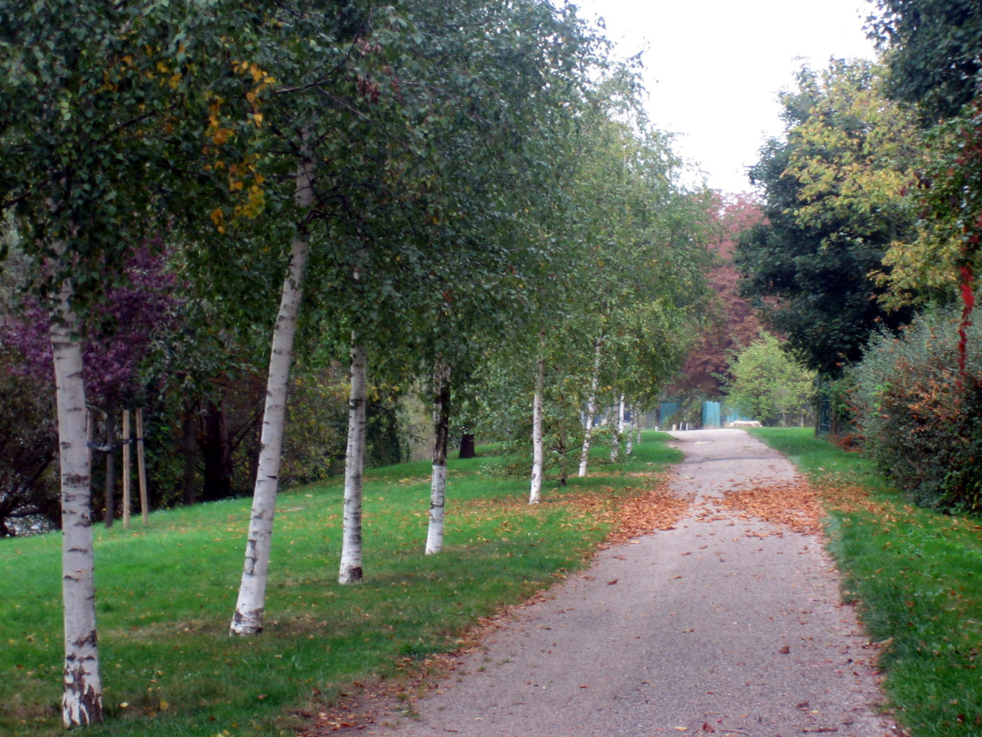 Fonds d'cran Nature Parcs - Jardins Promenade.