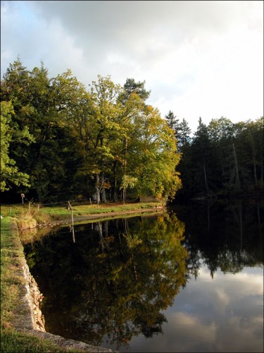 Fonds d'cran Nature Lacs - Etangs Etang-soir