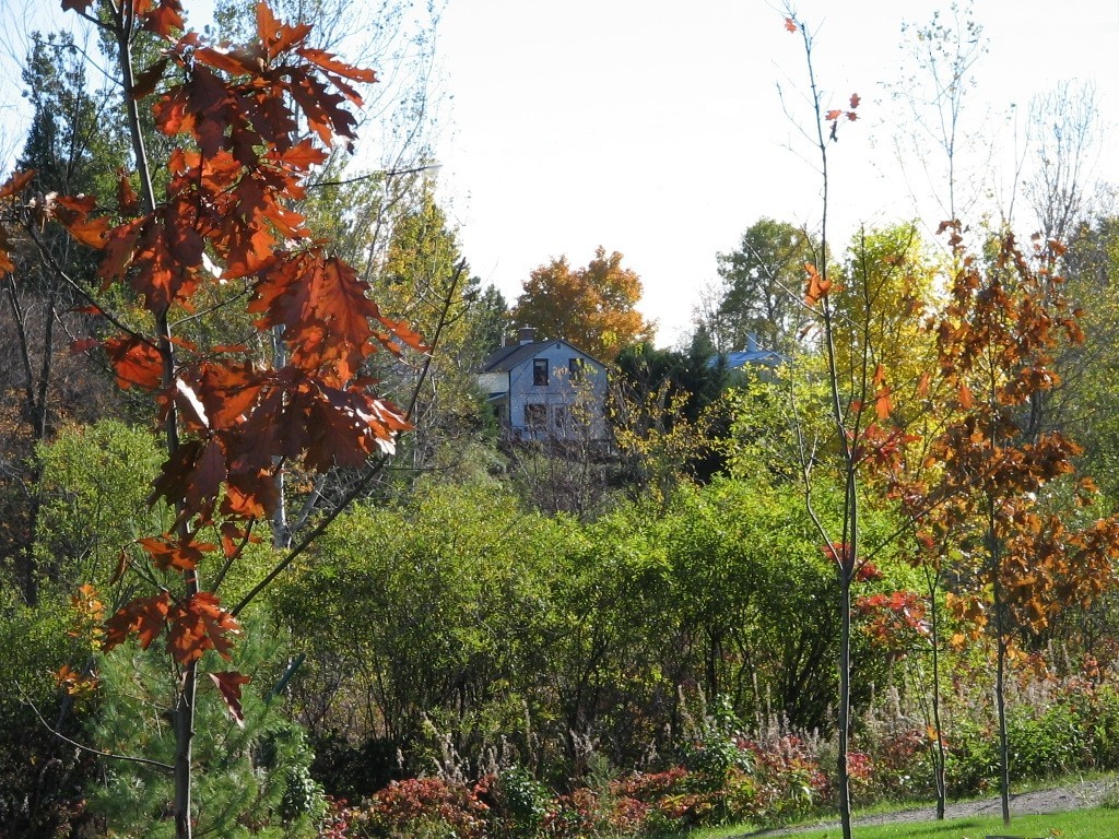 Wallpapers Nature Seasons - Fall Ancien moulin  scie