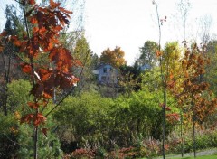 Fonds d'cran Nature Ancien moulin  scie