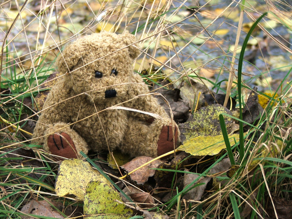 Fonds d'cran Objets Peluches Petit Ours d'automne....