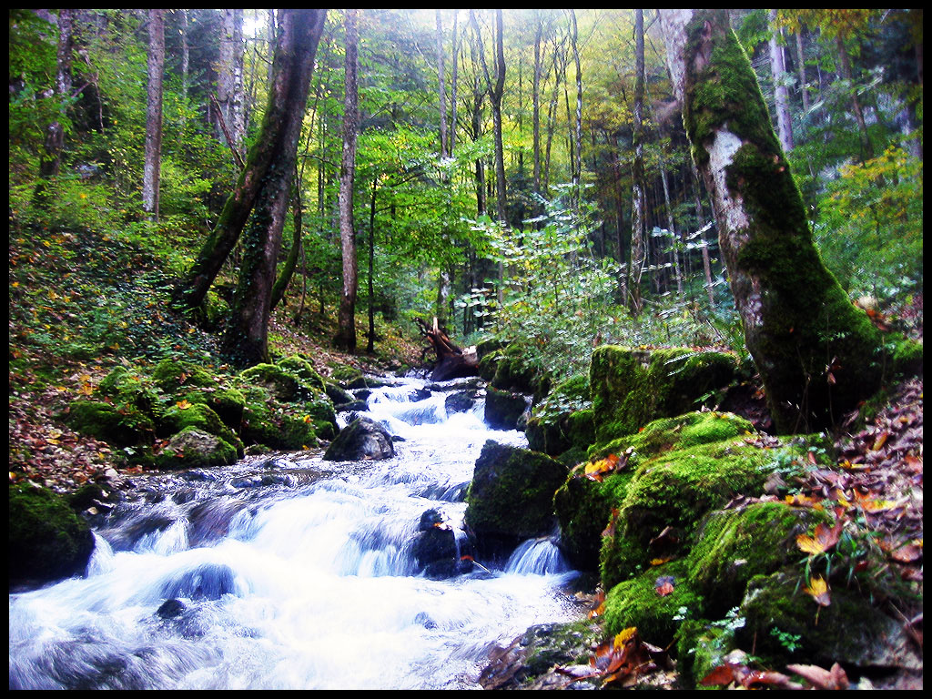 Fonds d'cran Nature Cascades - Chutes 