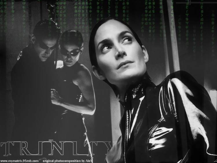 Wallpapers Movies Matrix 1 Trinity - Part II